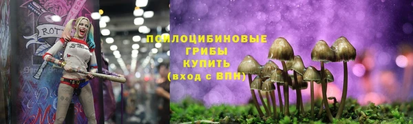 дмт Алексин