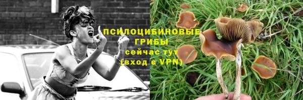 альфа пвп Осташков