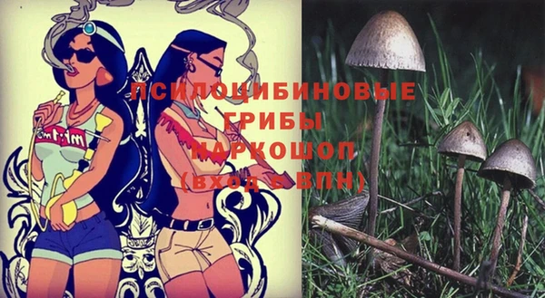 стафф Елабуга