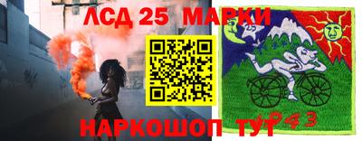 крисы Лесосибирск
