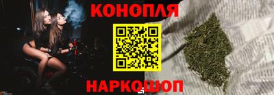 крисы Лесосибирск