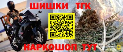крисы Лесосибирск