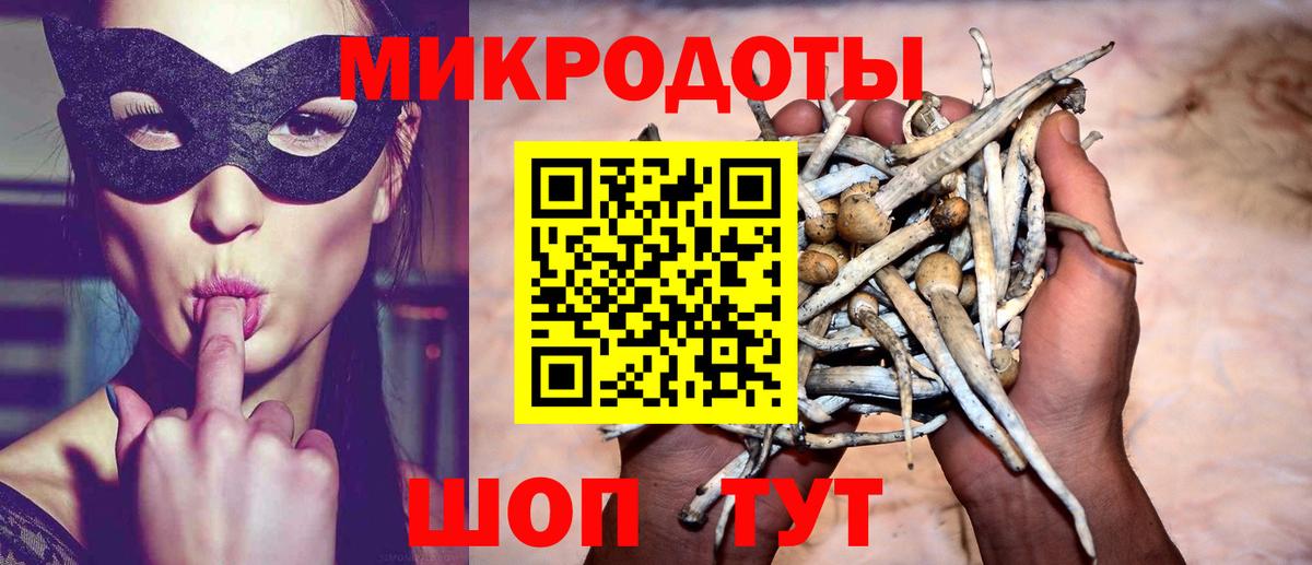 Галлюциногенные грибы Psilocybe Сосновоборск