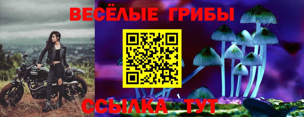 Псилоцибиновые грибы GOLDEN TEACHER  Вход с VPN  что такое   Галлюциногенные грибы Psilocybine cubensis  Сосновоборск 